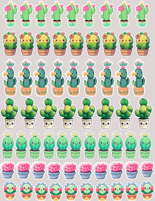 Cactus fun