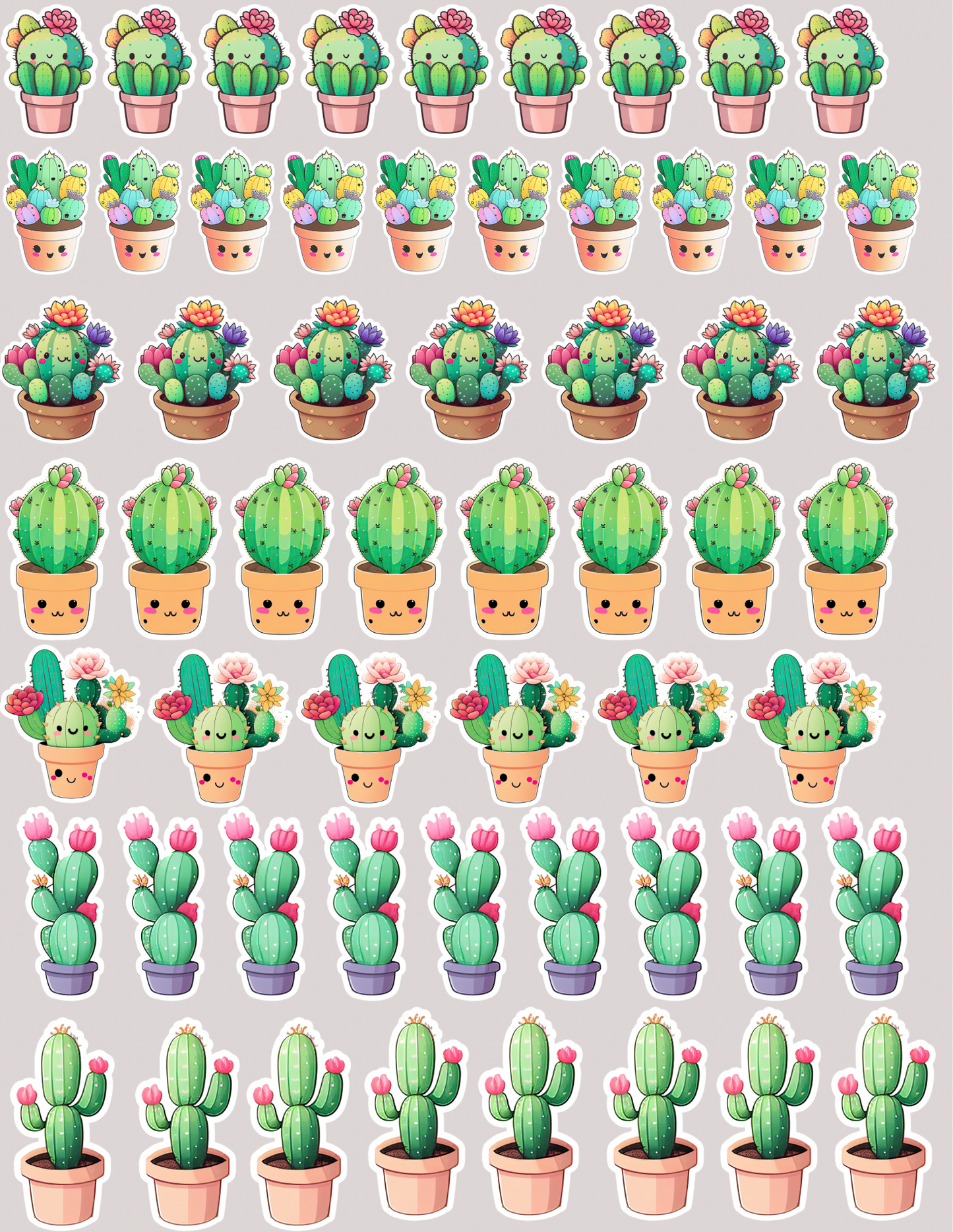 Cactus fun