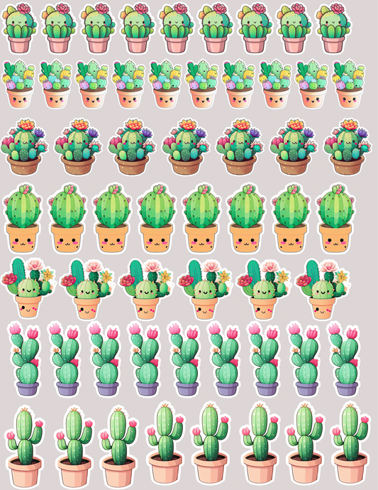 Cactus fun